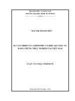 Sự can thiệp của chính phủ và hiệu quả đầu tư bằng chứng thực nghiệm tại việt nam 