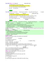 D01   xác định mệnh đề, mệnh đề chứa biến   muc do 2 