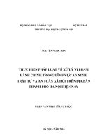 Thực hiện pháp luật về xử lý vi phạm hành chính trong lĩnh vực an ninh, trật tự và an toàn xã hội trên địa bàn thành phố hà nội hiện nay