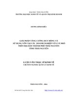 Giải pháp tăng cường huy động và sử dụng vốn tại các doanh nghiệp vừa và nhỏ trên địa bàn thành phố thái nguyên tỉnh thái nguyên 