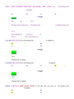 D06   PTLG thường gặp (chứa tham số)   muc do 2 