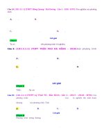 D01   PT đại số (bậc n) theo 1 HSLG   muc do 1 