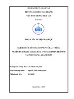 Nghiên cứu kỹ thuật ương nuôi ấu trùng nghêu lụa (paphia undulata born, 1778) giai đoạn trôi nổi tại nha trang, khánh hòa 