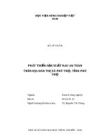 Phát triển sản xuất rau an toàn trên địa bàn thị xã phú thọ, tỉnh phú thọ 