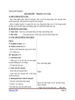 Giáo án Tiếng Việt 1 chủ điểm 5: Kể chuyện Bông hoa cúc trắng