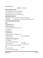 Giáo án Tiếng Việt 1 chủ điểm 5: Chính tả Ngôi nhà