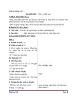 Giáo án Tiếng Việt 1 chủ điểm 6: Niềm vui bất ngờ