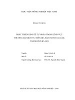 Phát triển kinh tế tư nhân trong lĩnh vực thương mại dịch vụ trên địa bàn huyện gia lâm, thành phố hà nội 