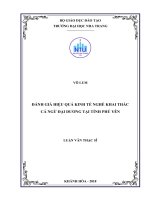 Đánh giá hiệu quả kinh tế nghề khai thác cá ngừ đại dương tại tỉnh phú yên 