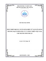 Phát triển dịch vụ ngân hàng điện tử tại ngân hàng thương mại cổ phần đầu tư và phát triển việt nam, chi nhánh ninh thuận 