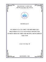 Tác động của cấu trúc vốn đến hiệu quả hoạt động của các ngân hàng thương mại cổ phần niêm yết trên thị trường chứng khoán việt nam 