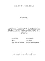 Phát triển sản xuất cây ăn quả có múi theo hướng hàng hóa tại huyện khoái châu, tỉnh hưng yên 