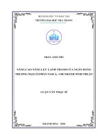 Nâng cao năng lực cạnh tranh của ngân hàng thương mại cổ phần nam á, chi nhánh ninh thuận 