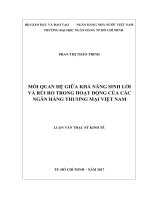 Mối quan hệ giữa khả năng sinh lời và rủi ro trong hoạt động của các ngân hàng thương mại việt nam 
