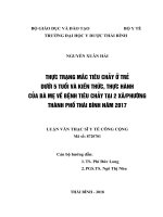 Thực trạng mắc tiêu chảy ở trẻ dưới 5 tuổi và kiến thức, thực hành của bà mẹ về bệnh tiêu chảy tại 2 xã phường thành phố thái bình, năm 2017  