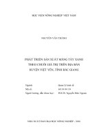 Phát triển sản xuất măng tây xanh theo chuỗi giá trị trên địa bàn huyện việt yên, tỉnh bắc giang 