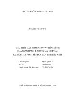 Giải pháp đẩy mạnh cho vay tiêu dùng của ngân hàng thương mại cổ phần sài gòn hà nội trên địa bàn tỉnh bắc ninh 