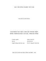 Giải pháp tạo việc làm cho thanh niên nông thôn huyện can lộc, tỉnh hà tĩnh 