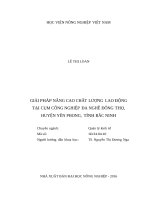 Giải pháp nâng cao chất lượng lao động tại cụm công nghiệp đa nghề đông thọ, huyện yên phong, tỉnh bắc ninh 