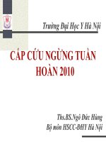 Ngừng tuần hoàn 2010