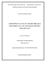 Ảnh hưởng của cơ cấu vốn đến hiệu quả hoạt động của các ngân hàng thương mại việt nam 