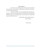 Rủi ro trong cho vay khách hàng doanh nghiệp lớn tại ngân hàng thương mại cổ phần công thương việt nam   chi nhánh gia lai 