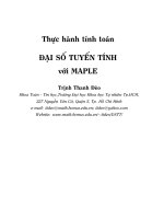 thực hành tính toán đại số tuyến tính với maple
