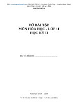 Vở bài tập Hóa học 11, học kỳ II