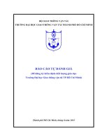 BÁO CÁO TỰ ĐÁNH GIÁ (Để đăng ký kiểm định chất lượng giáo dục Trường Đại học Giao thông vận tải TP.Hồ Chí Minh)