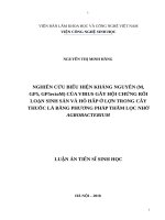 Nghiên cứu biểu hiện kháng nguyên (m, GP5, GP5ectoM) của virus gây hội chứng rối loạn sinh sản và hô hấp ở lợn trong cây thuốc lá bằng phương pháp thẩm lọc nhờ agrobacterium