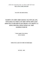 Nghiên cứu biểu hiện kháng nguyên (m, GP5, GP5ectoM) của virus gây hội chứng rối loạn sinh sản và hô hấp ở lợn trong cây thuốc lá bằng phương pháp thẩm lọc nhờ agrobacterium  tt