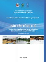BÁO CÁO TỔNG THỂ VỀ TÌNH HÌNH Ô NHIỄM DIOXIN TẠI BA ĐIỂM NÓNG: SÂN BAY BIÊN HÒA, ĐÀ NẴNG VÀ PHÙ CÁT