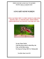 skkn NÂNG CAO NHẬN THỨC và THỰC HÀNH của học SINH TRƯỜNG THCS lý THƯỜNG KIỆT TRONG PHÒNG CHỐNG BỆNH sốt XUẤT HUYẾT, 