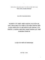 Nghiên cứu biểu hiện kháng nguyên (m, GP5, GP5ectoM) của virus gây hội chứng rối loạn sinh sản và hô hấp ở lợn trong cây thuốc lá bằng phương pháp thẩm lọc nhờ agrobacterium