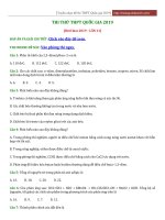 Group beeclass (lần 11   2019) 