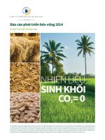 Báo cáo phát triển bền vững 2014 Vì Một Thế Giới Tốt Đẹp Hơn