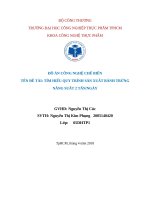 ĐỒ ÁN CÔNG NGHỆ CHẾ BIẾN: TÌM HIỂU QUY TRÌNH SẢN XUẤT BÁNH TRỨNG 2 TẤNNGÀY