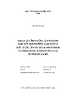 Nghiên cứu ảnh hưởng của phân bón nano đến sinh trưởng, năng suất và chất lượng của dây thìa canh (gymnema sylvestre (RETZ ) r  BR EX schult) tại chương mỹ, hà nội 