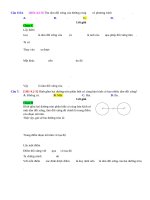 D02   tâm đối xứng của một hình   muc do 3 