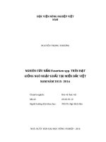 Nghiên cứu nấm fusarium spp  trên hạt giống ngô nhập khẩu tại miền bắc việt nam năm 2015   2016 