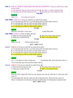 D01   các tính chất của phép dời hình   muc do 1 