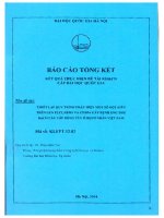 Thiết lập quy trình phát hiện một số đột biến trên gen FLT3, NPM1 và CEBPA gây bệnh ung thư bạch cầu cấp dòng tủy ở bệnh nhân việt nam  