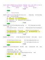 D02   vẽ ảnh, tạo ảnh của hình qua p TT   muc do 2 