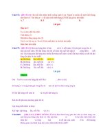 D03   max min diện tích thiết diện   muc do 3 