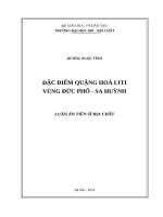 Đặc điểm quặng hoá liti vùng đức phổ sa huỳnh