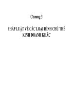 PHÁP LUẬT VỀ CÁC LOẠI HÌNH CHỦ THỂ KINH DOANH KHÁC