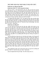 Phat bieu khai mac hoi nghi CBCCVC 