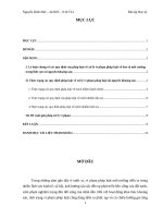 BTL Môi trường_Thực trạng xử lý vi phạm pháp luật về bảo vệ tài nguyên khoáng sản_8đ