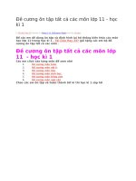 Đề cương ôn tập tất cả các môn lớp 11