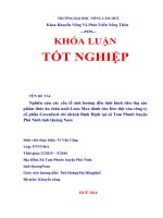 Nghiên cứu các yếu tố ảnh hưởng đến tình hình tiêu thụ sản phẩm thức ăn chăn nuôi Lean Max dành cho Heo thịt của công ty cổ phần Greenfeed chi nhánh Bình Định tại xã Tam Phước huyện Phú Ninh tỉnh Quảng Nam